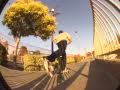 Bell Gardens Montage