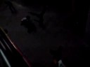 TPSC 120FPS Random video 3