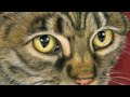 Tigerclaw-He is not one of us