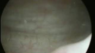 Hector Eugenio Campos-3