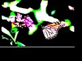 butterflies, new single from poi dog pondering's upcoming album 