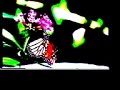 butterflies, new single from poi dog pondering's upcoming album 