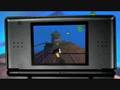 Insecticide (DS) Video Review