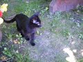 Xana, notre bébé