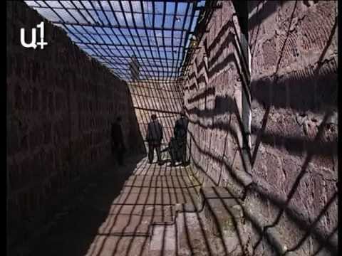 Ցմահները առանց հույսի