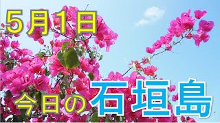 5月1日の石垣島は