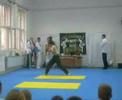 velid - nunchaku velid - nunchaku