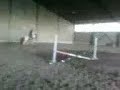 Kali saut d obstacle.mp4 Kali saut d obstacle.mp4
