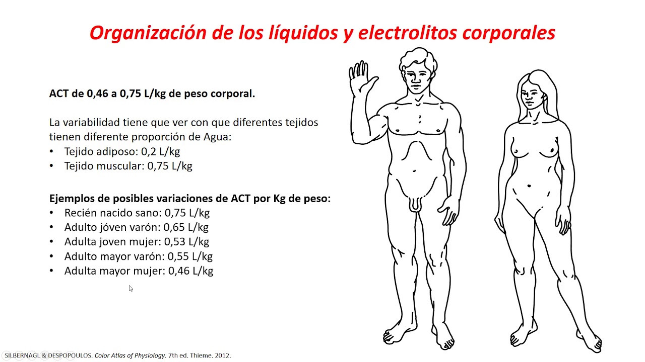 Fisiología - Generalidades de líquidos y electrolítos corporales