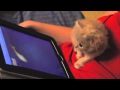 Cute Cat plays on iPad