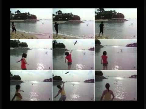 how to dissolve bsa in water