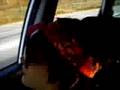 videos de Road Rage !