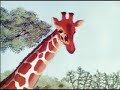 \"Ohota\" \"Hunt\"