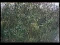 godzilla vs mitokomon part 1 of 2
