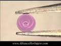 Oiling a Watch