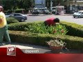 Disperati