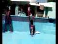 videos de ray en la p.3g2
