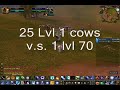 25 lvl 1 vs 1 lvl 70