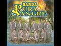 Celio(Sky) by Banda Pura Sangre