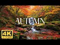 AUTUMN 4K • RELAXATION FILM WITH PIANO MUSIC ..