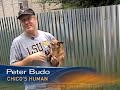 Crime Fighting Chihuahua