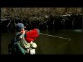Chrome Wild Steelhead -Fly Fising - SeasonsOnTheFly.com