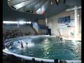 videos de DELFINARIUMAS, KLAIPEDA, LIETUVA