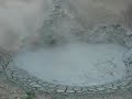 Mud Volcano - Yellowstone National Park