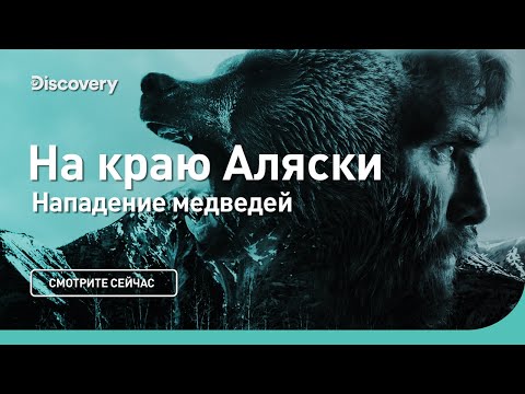 Нападение медведей. На краю Аляски