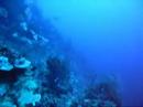 Cayman Brac 2006 Part 3 Cayman Brac 2006 Part 3