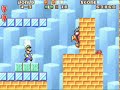 Super Mario Advance Bosses Worlds 1-6