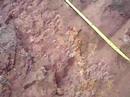 Trabalho de campo Geo-UNIBH parte 2