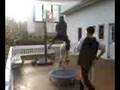 videos de insaneness