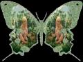 Check this video out -- Janet's Creations "Make Me A Butterfly"- Amy Barbera http://t.co/bfKpV1j via @youtube
