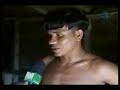 �ndios reflorestam seu pr�prio territ�rio
