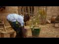 La mangue by Idrissa Ouedraogo