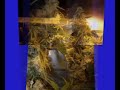 MARIHUANA SCROG