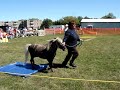 obstacle class meaford fair