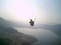 Parahawking
