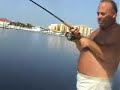 Tampa Bay Tarpon Fishing Tampa Bay Tarpon Fishing