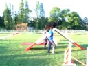 agility entrainement 27 aout