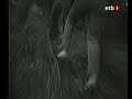 04 - Kortatu - Sarri Sarri