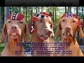 Southern Fried         Redneck