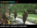 Colombia Hotels