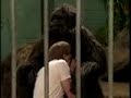 STEWART GOES TO THE ZOO