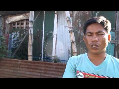 how to transplant wild bamboo