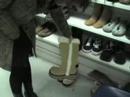 charity shops