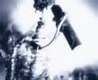 The Idoru - Monochrome