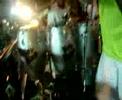 tribahia-alafolia-2007.html