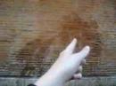 Water on the Wall